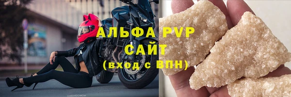 сатива Белокуриха