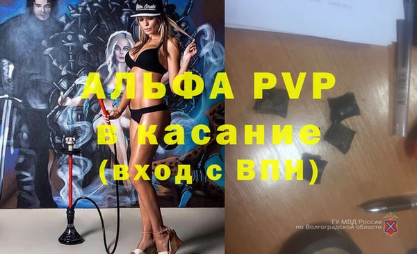 сатива Белокуриха