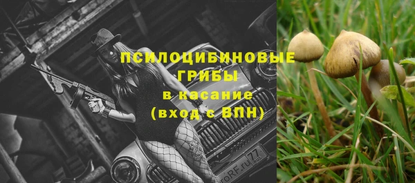 a pvp Беломорск
