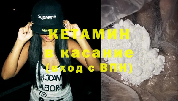 сатива Белокуриха