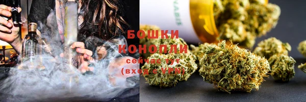 сатива Белокуриха