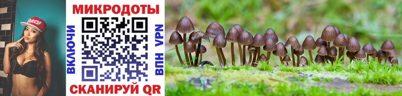 Псилоцибиновые грибы Psilocybe  Ханты-Мансийск 