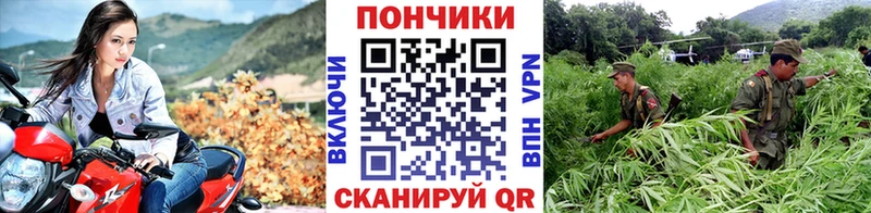 МАРИХУАНА конопля Ханты-Мансийск